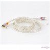 Manueller Plattenspieler Pro-Ject The Classic
