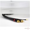 Clearaudio Emotion SE MKII Plattenspieler