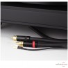 Platine vinyle Clearaudio Performance DC Pack Artist