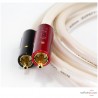 Câble phono Atlas Equator TT Achromatic