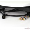 Platine vinyle Rega Planar 10