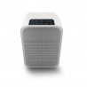 Enceinte Bluesound PULSE FLEX 2i