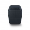 Enceinte Bluesound PULSE FLEX 2i