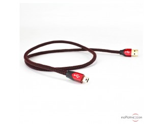 Câble USB Audioquest CINNAMON Câble USB Audioquest CINNAMON