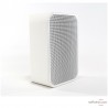 Enceinte Bluesound PULSE FLEX 2i