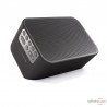 Enceinte Bluesound PULSE FLEX 2i
