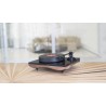 Platine vinyle Gold Note Mediterraneo