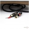 Platine vinyle Gold Note Giglio