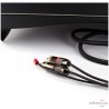 Platine vinyle Gold Note Pianosa