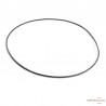 Courroie courte pour platine vinyle Transrotor Max