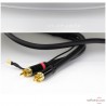 Platine vinyle Marantz TT15S1