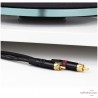 Platine vinyle Rega Planar 3 avec cellule Exact