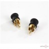 Préamplificateur phono Aurorasound Vida MKII