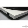 Platine vinyle Pro-Ject Essential II Phono USB Platine vinyle Pro-Ject Essential II Phono USB