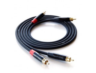 Câble de modulation REGA Couple 2