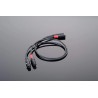 Câble de modulation Transparent Hardwired Balenced XLR