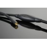 Câble de modulation Transparent The Musiclink Super