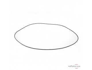 Courroie Transrotor Belt Long