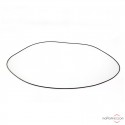 Courroie Transrotor Belt Long