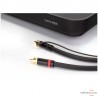 Platine vinyle Clearaudio Concept Pack Virtuoso/Kardan