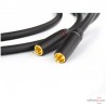 Câble de modulation Transparent The Musiclink Plus