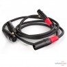 Câble de modulation Transparent Hardwired Balenced XLR