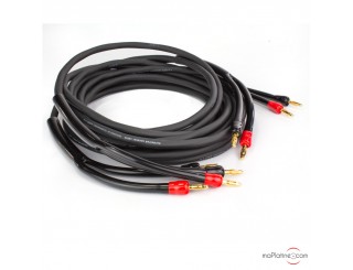 Real Cable Cheverny - Câble HiFi haut-parleur fiches bananes - La Boutique  d'Eric