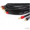 Câble haut-parleurs Transparent Hardwired Câble haut-parleurs Transparent Hardwired