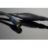Câble de modulation XLR Transparent Musiclink Super Balanced
