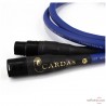 Câble de modulation XLR Cardas Clear Sky