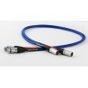 Câble de modulation XLR Tellurium Q Blue