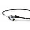 Câble numérique AES/EBU Tellurium Q Black Waveform II XLR