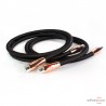 Câble de modulation XLR Audioquest Black Beauty
