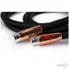 Câble de modulation XLR Audioquest Black Beauty