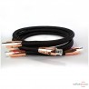 Câble de modulation XLR Audioquest Black Beauty