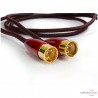 Câble de modulation XLR Audioquest Red River