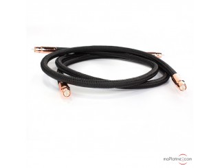 Câble de modulation RCA Audioquest Black Beauty