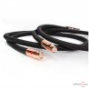 Câble de modulation RCA Audioquest Black Beauty