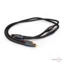 Cable de modulación Transparent The Musiclink Super G6