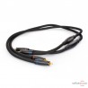Câble de modulation Transparent The Musiclink Super