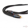 Câble de modulation Transparent The Musiclink Super