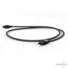 Câble optique Audioquest Carbon