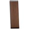 Enceintes colonnes Focal Vestia N°3