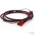 Audioquest Golden Gate Plattenspieler-Phonokabel