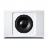 Caisson de grave Bluesound Pulse Sub+