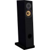 Enceintes colonnes Davis Acoustics Courbet N°4