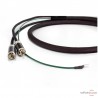Câble phono Furutech Silver Arrows 2