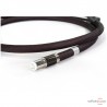 Câble phono Furutech Silver Arrows 2