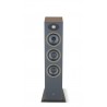 Enceintes colonnes Focal N°2