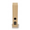 Enceintes colonnes Focal N°2